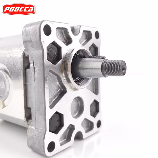 Italy Marzocchi Silver Alp1 Alp1a Alp1-D-4 Hydraulic External Gear Pump