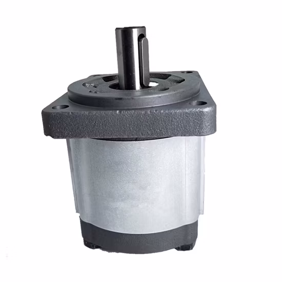 Caproni / Parker Hydraulikpumpen, geräuscharme Aluminium-Zahnradpumpe Cbt E3