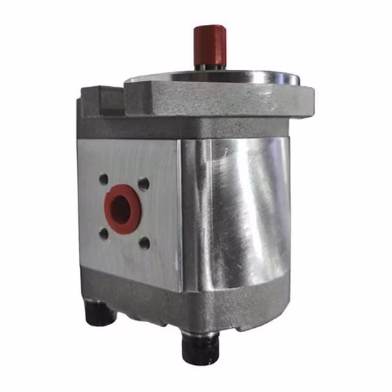 Hydraulikpumpe der Parker Pg Gusseisen-Zahnradpumpenserie