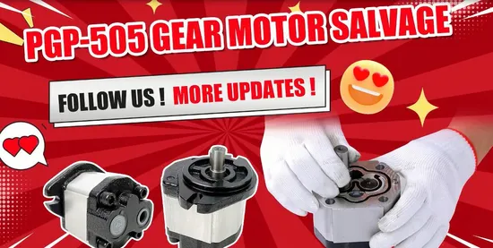 Hydraulische Zahnradpumpe als Ersatz P330, Pgp330 Parker Commercial Zahnradpumpe