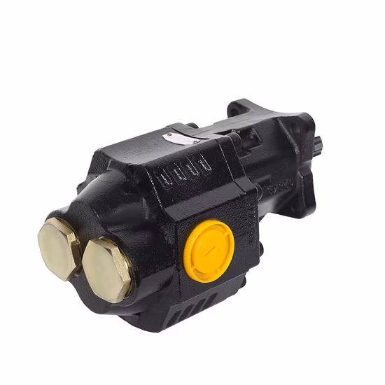 Gusseisen-Zahnradpumpe Kbgh-F5 für Muldenkipper-Hebesystem