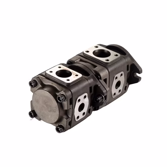 Innenzahnradpumpe für Kunststoffspritzgussmaschine