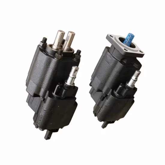 Parker hydraulische Zahnradpumpe C101 C102 mit manueller Steuerung