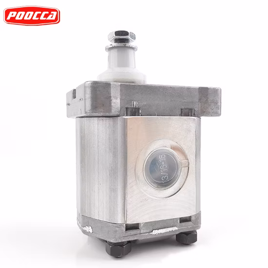 Italien Marzocchi Silver Alp1 Alp1a Alp1-D-4 Hydraulische Außenzahnradpumpe