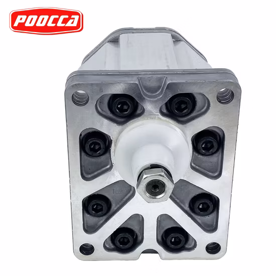 Marzocchi Pump Ghp 2A Zahnradpumpe Ghp2a-D-22-Fg Hochdruckpumpendruck 28 MPa ~ 31 MPa