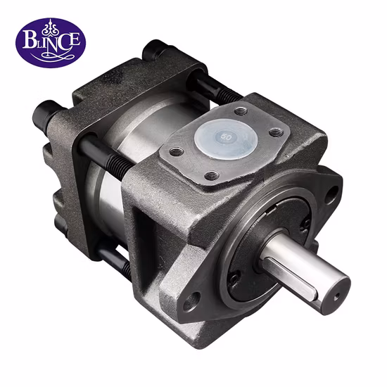 Japan Sumitomo Spritzgießmaschine Ölpumpe Qt52-40f-a Hydraulikölpumpe Qt52-50f-a Qt52-63f-Z